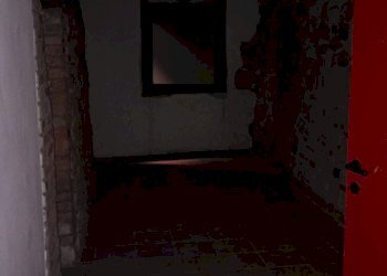 Negozio Piacenza - foto 6