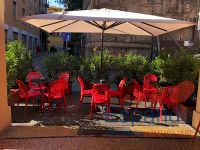 Bar Tavola Calda - Fredda Bologna - foto 2