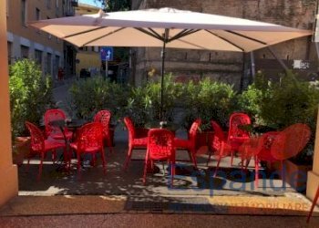 Bar Tavola Calda - Fredda Bologna - foto 2