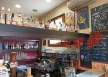 Bar Tavola Calda - Fredda Bologna - foto 4