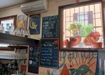 Bar Tavola Calda - Fredda Bologna - foto 5