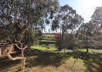 Villa Via Villa Castelli, Martina Franca - foto 29