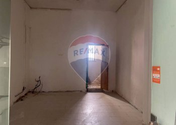 Altro Napoli - foto 6