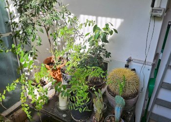 Quadrilocale Galleria Tito Livio, Padova (zona Centro Storico) - foto 29