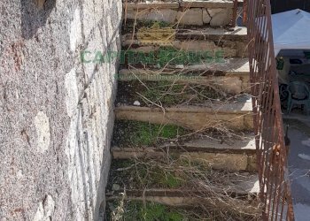 Rustico Saviano - foto 4