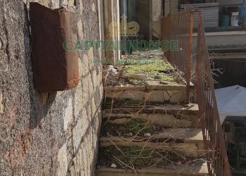 Rustico Saviano - foto 5