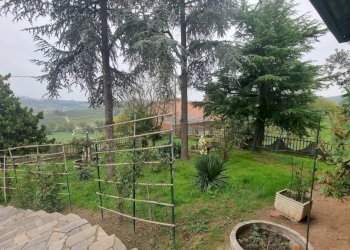 Giardino - Rustic Agliano Terme - photo 4