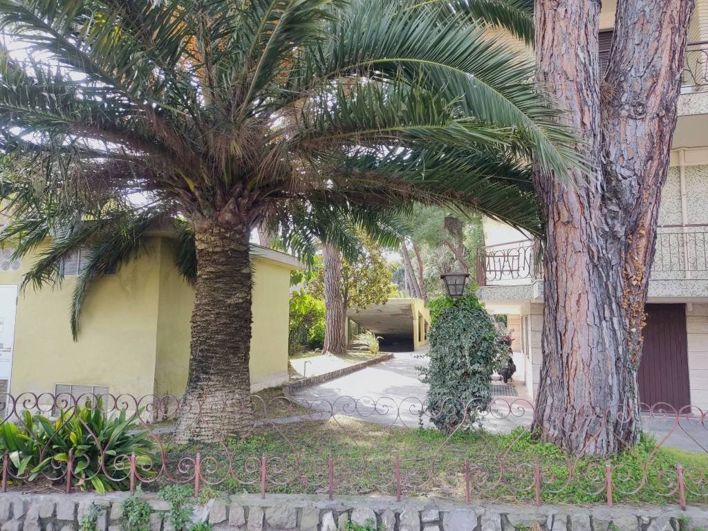 Giardino - Box via Giulio Cesare, 57B, Bordighera - foto 1