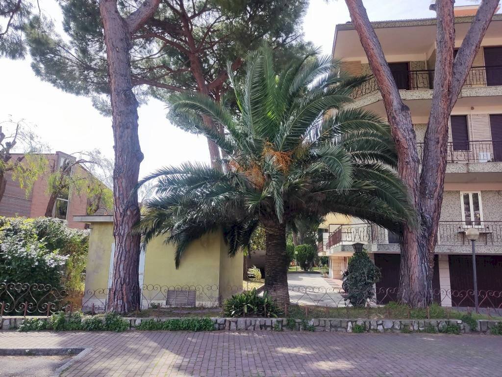 Giardino - Box via Giulio Cesare, 57B, Bordighera - foto 2