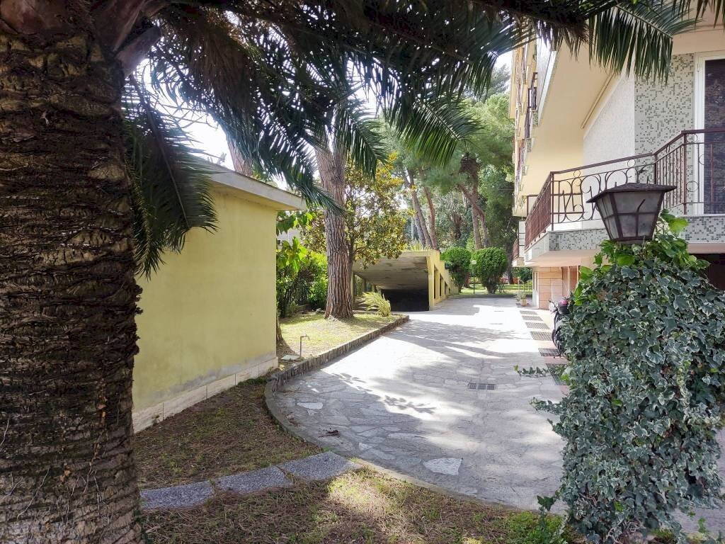 Giardino - Box via Giulio Cesare, 57B, Bordighera - foto 3