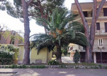 Giardino - Box via Giulio Cesare, 57B, Bordighera - foto 2