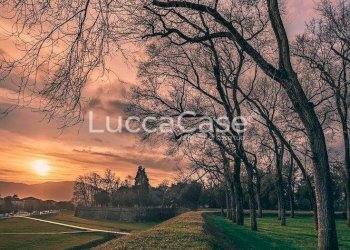 Office Lucca (neighborhood San Concordio Contrada) - photo 6