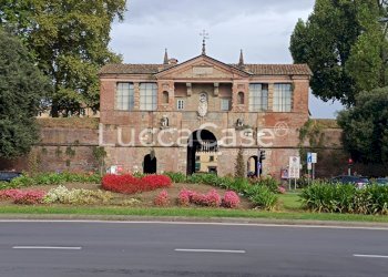 Office Lucca (neighborhood San Concordio Contrada) - photo 12