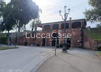 Office Lucca (neighborhood San Concordio Contrada) - photo 14