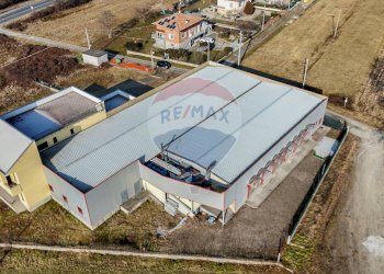 Shed via per Borriana, 1 
 Ponderano, Ponderano - photo 26