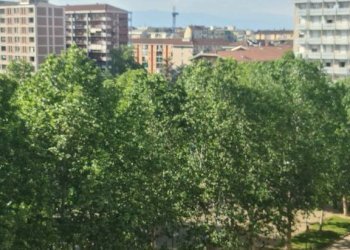 Attic Torino - photo 47