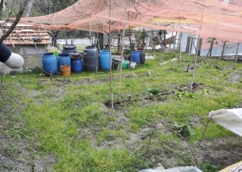 Giardino - Attico Via Pian dei Ratti Pian dei Ratti-pianezza, Orero - foto 19