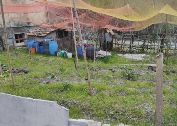 Giardino - Attico Via Pian dei Ratti Pian dei Ratti-pianezza, Orero - foto 20