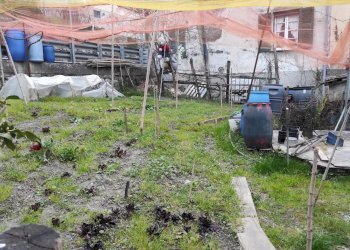 Giardino - Attico Via Pian dei Ratti Pian dei Ratti-pianezza, Orero - foto 21