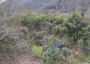 Giardino - Attico Via Pian dei Ratti Pian dei Ratti-pianezza, Orero - foto 22