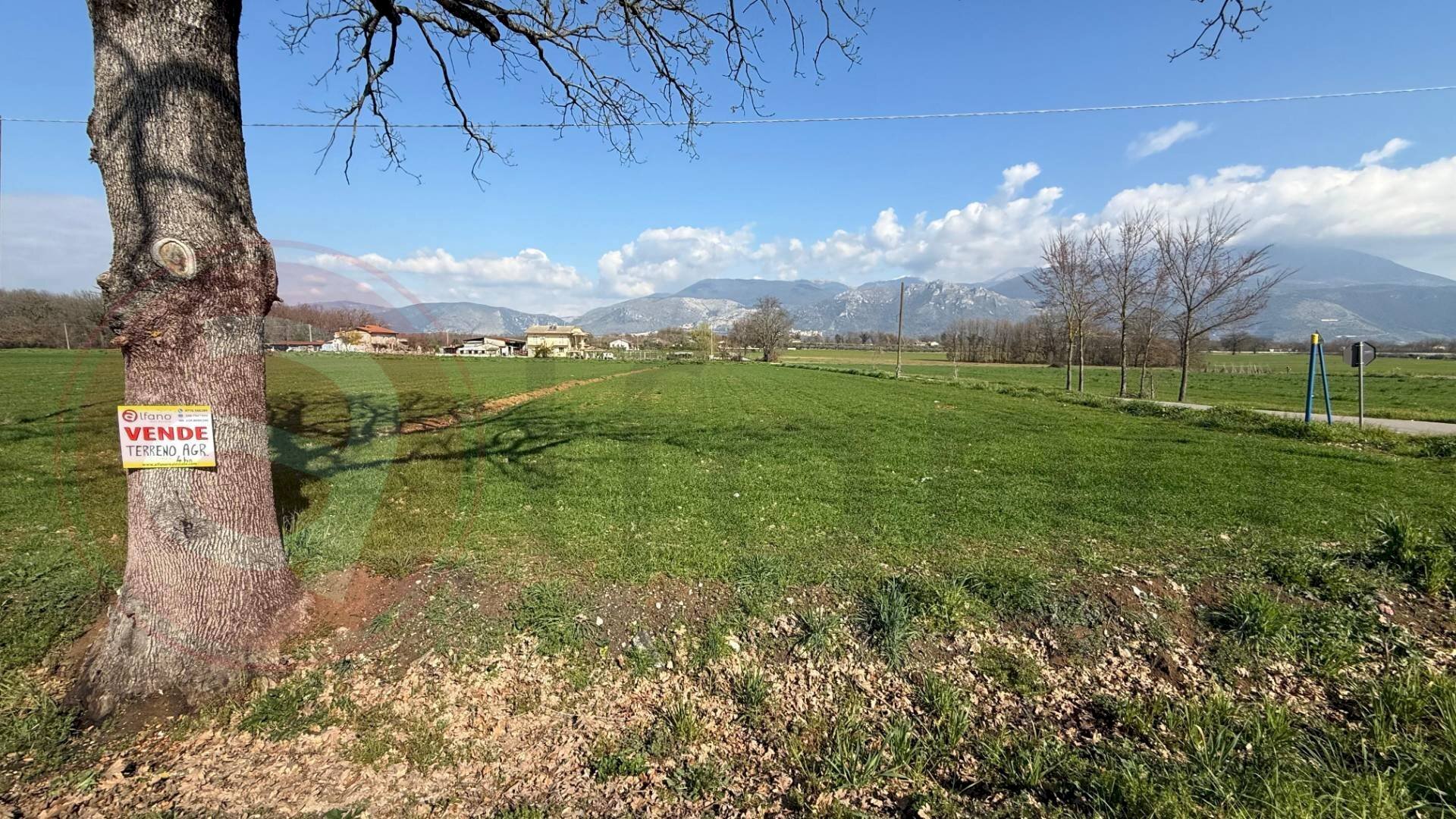 Terreno agricolo Via Latina, Roccasecca - foto 1