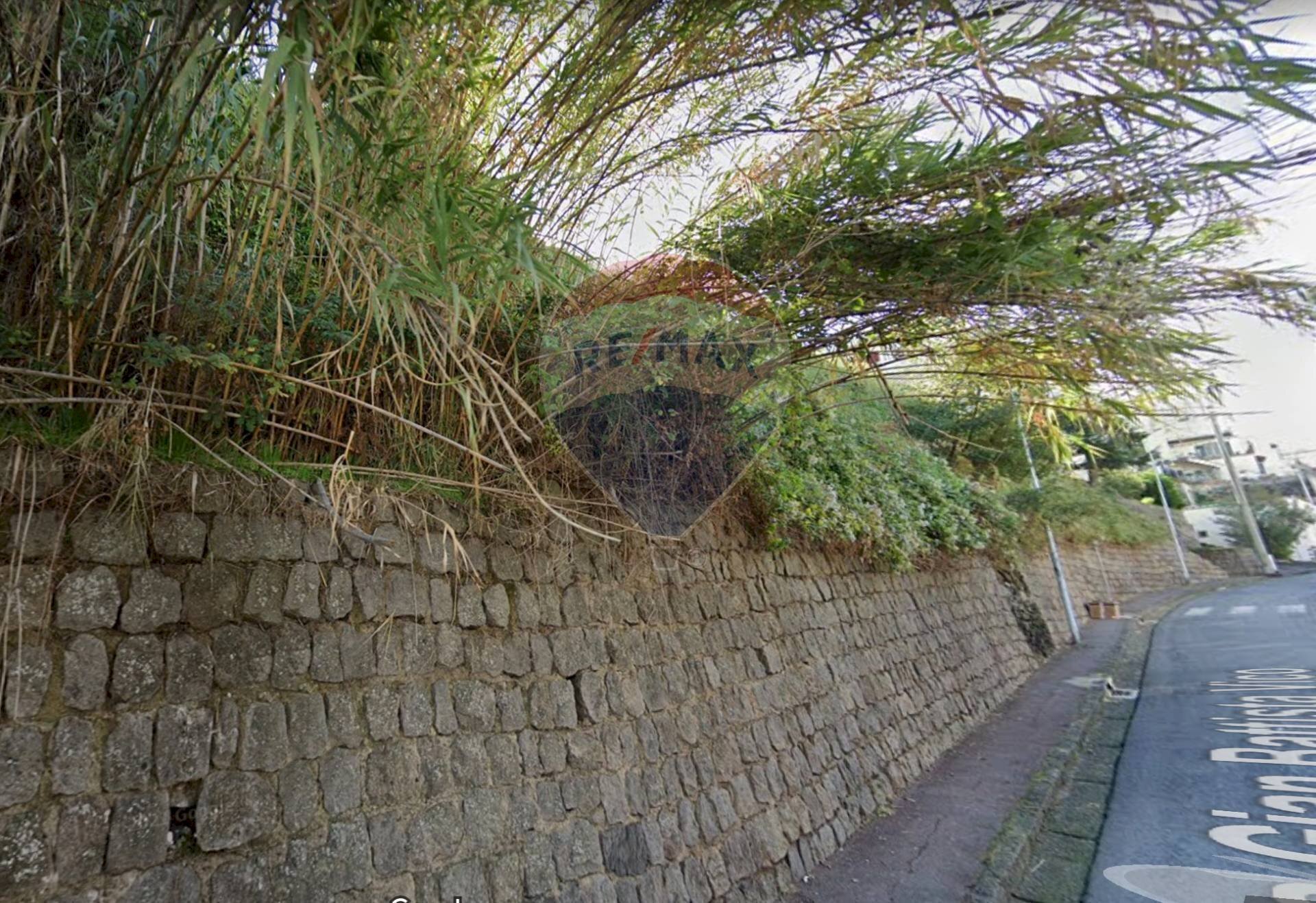 Terreno agricolo Ischia - foto 2