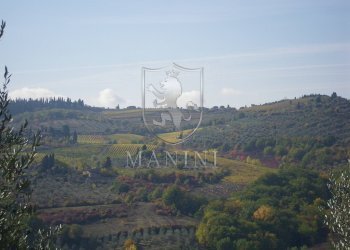 Rustic via petriolo, Greve in Chianti - photo 8