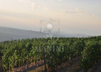 Rustic via petriolo, Greve in Chianti - photo 13