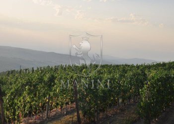 Rustic via petriolo, Greve in Chianti - photo 14