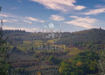 Rustic via petriolo, Greve in Chianti - photo 16