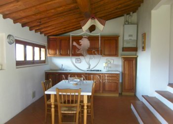 Rustic via petriolo, Greve in Chianti - photo 22