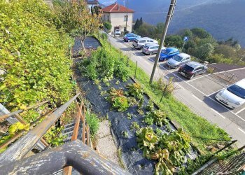 Appartamento Via Fratelli Zaccheo, Maccagno con Pino e Veddasca - foto 18