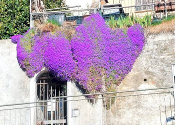 Appartamento Via Fratelli Zaccheo, Maccagno con Pino e Veddasca - foto 4