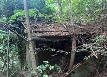 Terreno edificabile Via per Cranna, Cadegliano-Viconago - foto 1