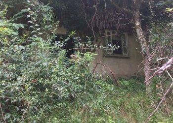 Terreno edificabile Via per Cranna, Cadegliano-Viconago - foto 6