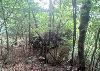 Terreno edificabile Via per Cranna, Cadegliano-Viconago - foto 8