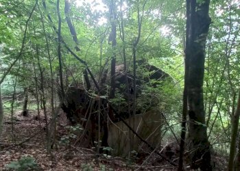 Terreno edificabile Via per Cranna, Cadegliano-Viconago - foto 9