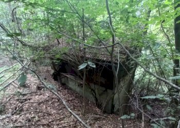 Terreno edificabile Via per Cranna, Cadegliano-Viconago - foto 10