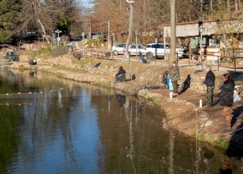 Attività Commerciale Via Valganna, Valganna - foto 25