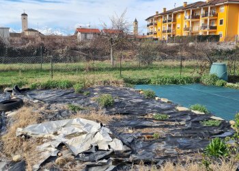 Orto - Trilocale Castelletto Stura - foto 17