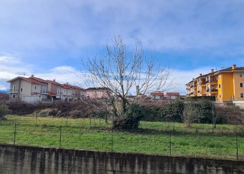 Vista - Trilocale Castelletto Stura - foto 9