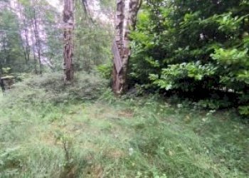 Terreno edificabile Borgata Prafieul, Giaveno - foto 4