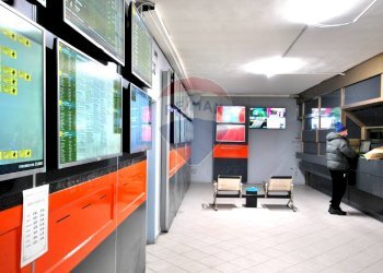 Negozio viale Vittorio Emanuele II, 3 
 Pavia, Pavia - foto 7