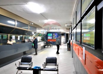 Negozio viale Vittorio Emanuele II, 3 
 Pavia, Pavia - foto 8