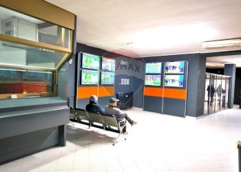 Negozio viale Vittorio Emanuele II, 3 
 Pavia, Pavia - foto 13