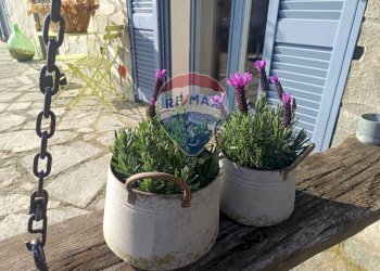 Rustic via Pizzarera, Alta Valle Intelvi - photo 8