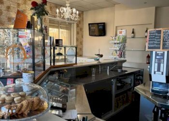 Interno non residenziale - Bar Tavola Calda - Fredda Gassino Torinese - foto 15