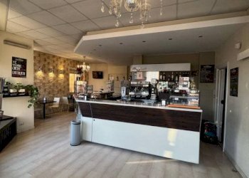 Interno non residenziale - Bar Tavola Calda - Fredda Gassino Torinese - foto 16