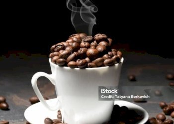 Altro - Cafeteria - Cold Bar Gassino Torinese - photo 21