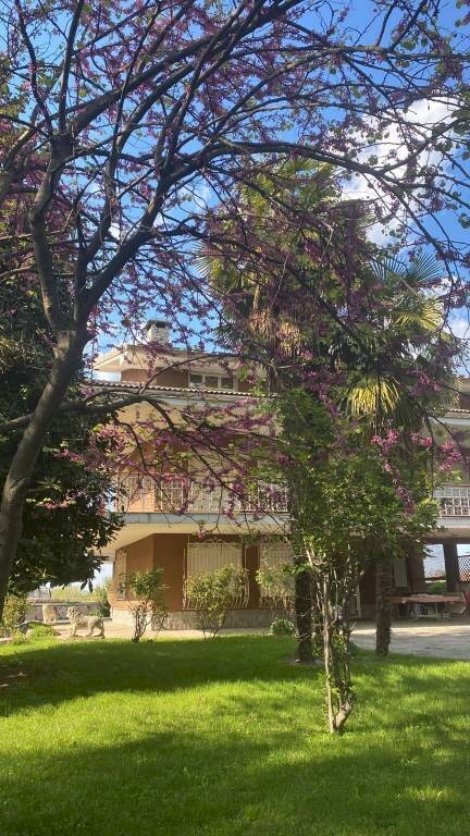 Giardino - Trilocale via Circonvallazione Vigne, 14, Chiusa di Pesio - foto 2
